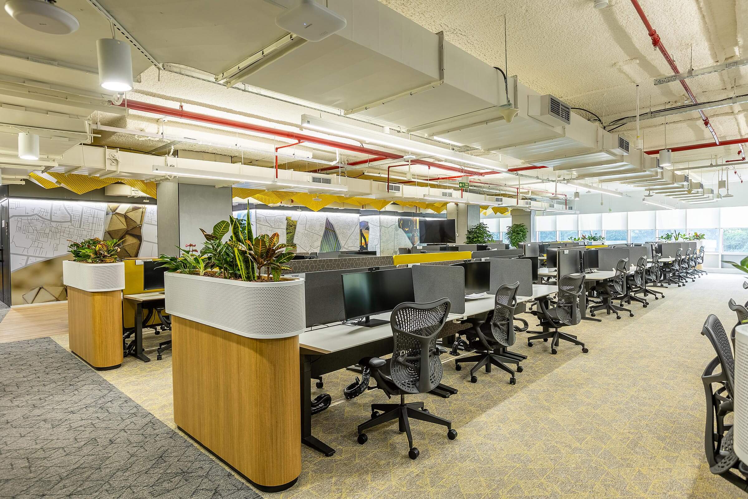 Open office area with linear workstations, desktop monitors, task chairs, and planter dividers